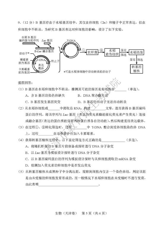 2019年高考理科綜合真題及參考答案（天津卷）22